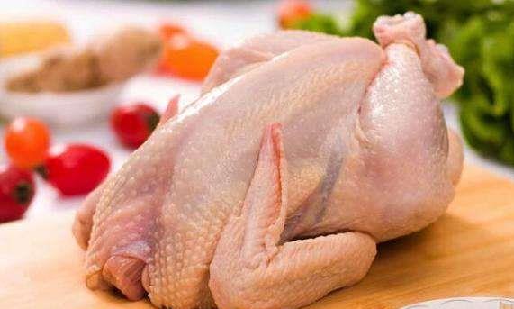 爱肯拿鸡肉猫粮怎么样 幼猫猫粮哪个牌子比较好