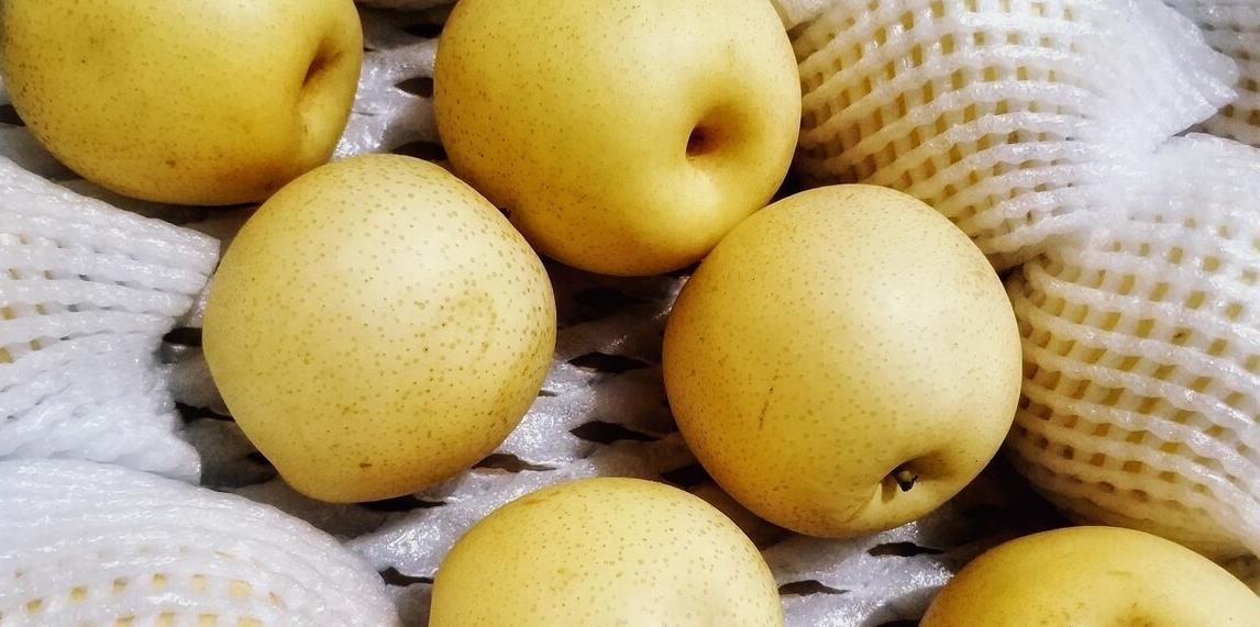 1000多年的梨品种,梨中翘楚五香面梨,说消失就消失了_高清图集_新浪网