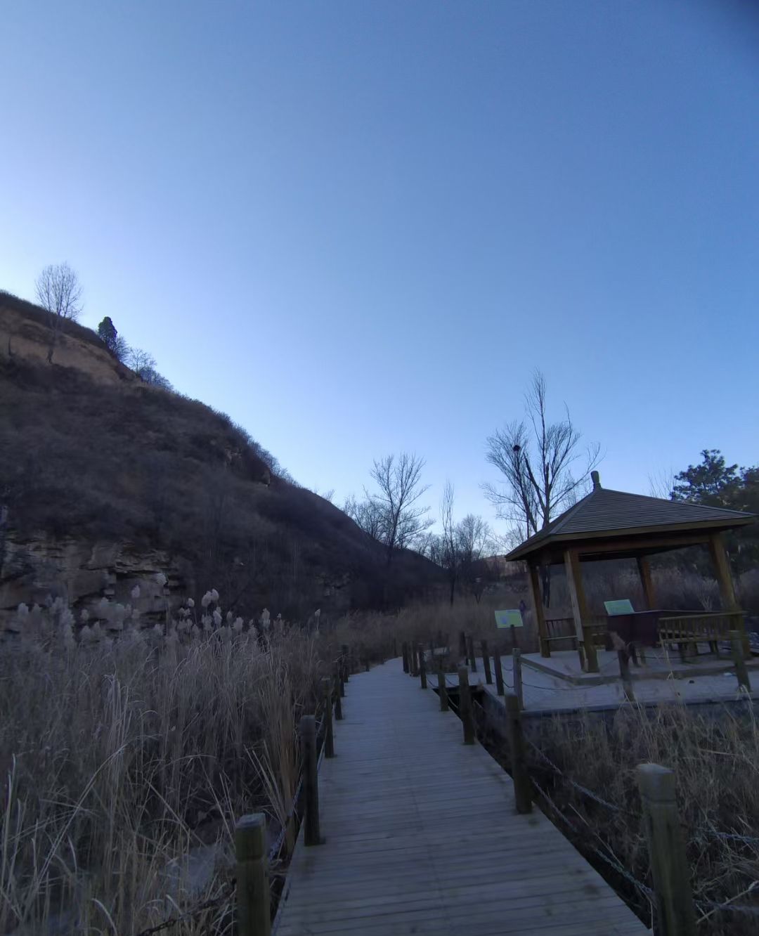 合阳徐水河湿地景区冬天美景_高清图集_新浪网