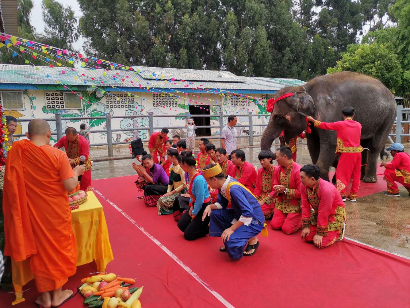 因傣族视大象为吉祥物,在百日庆典当天,有僧人为新生小象诵经,洒水