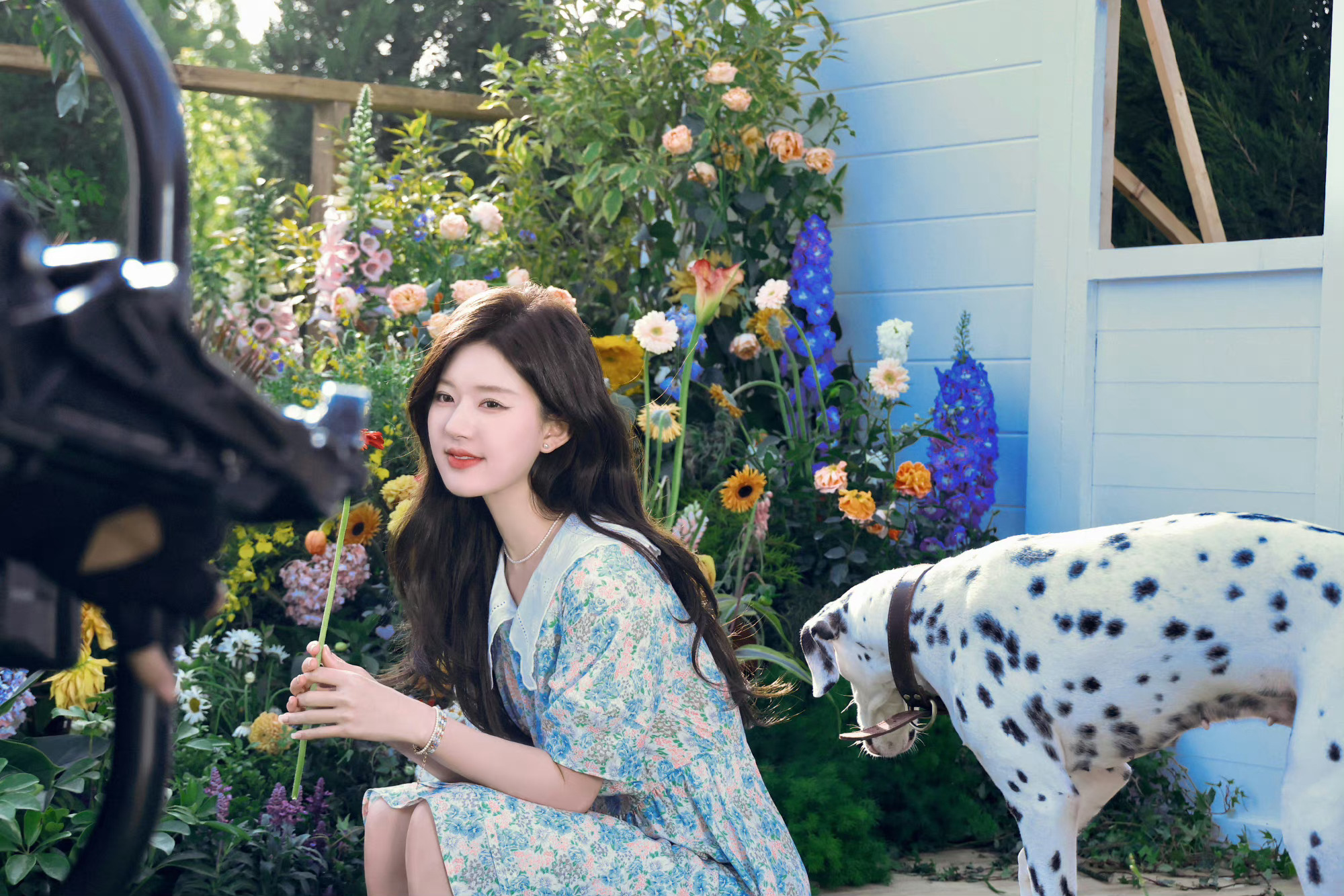 赵露思花园写真蓝色泡泡袖碎花裙甜美可爱青春洋溢