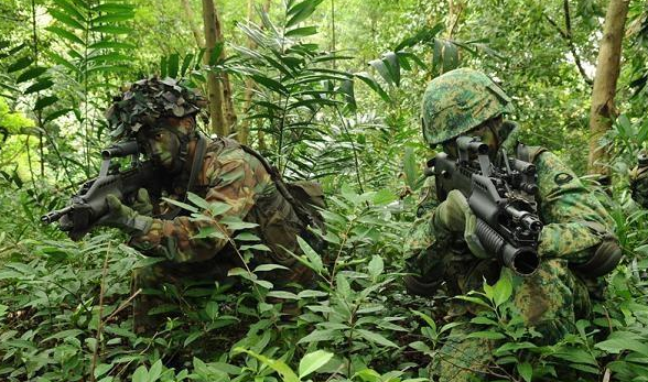 高原或沙漠,因此作训服会偏向沙漠伪装,如果是热带或者内陆国家,迷彩