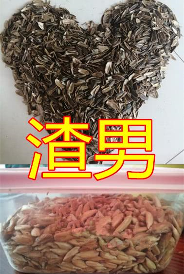 同是剥瓜子秀恩爱暖男vs渣男看到山竹男这谁顶得住