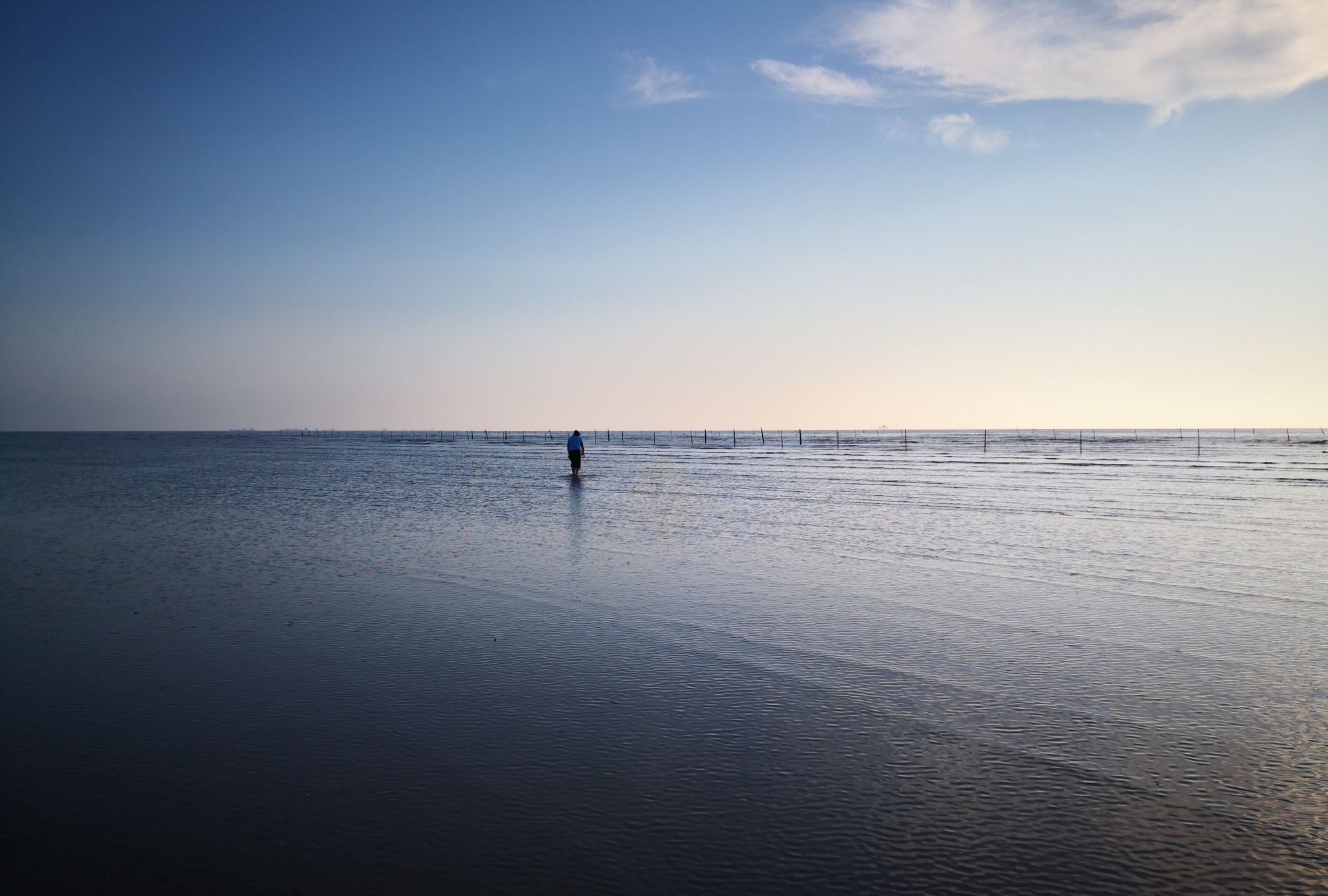 清晨的黄海滩涂景色