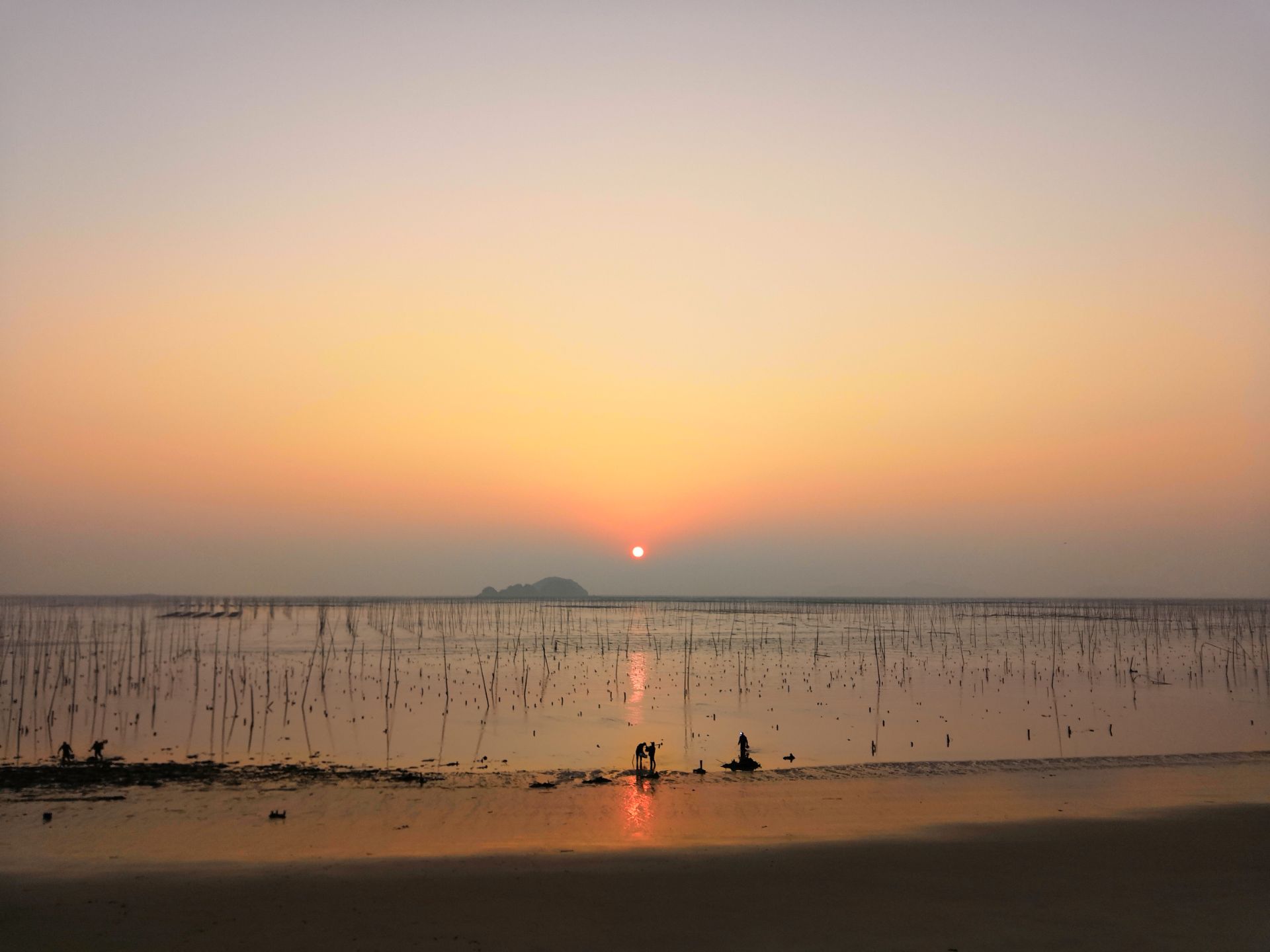 福建省 宁德市 北岐滩涂 日落美景