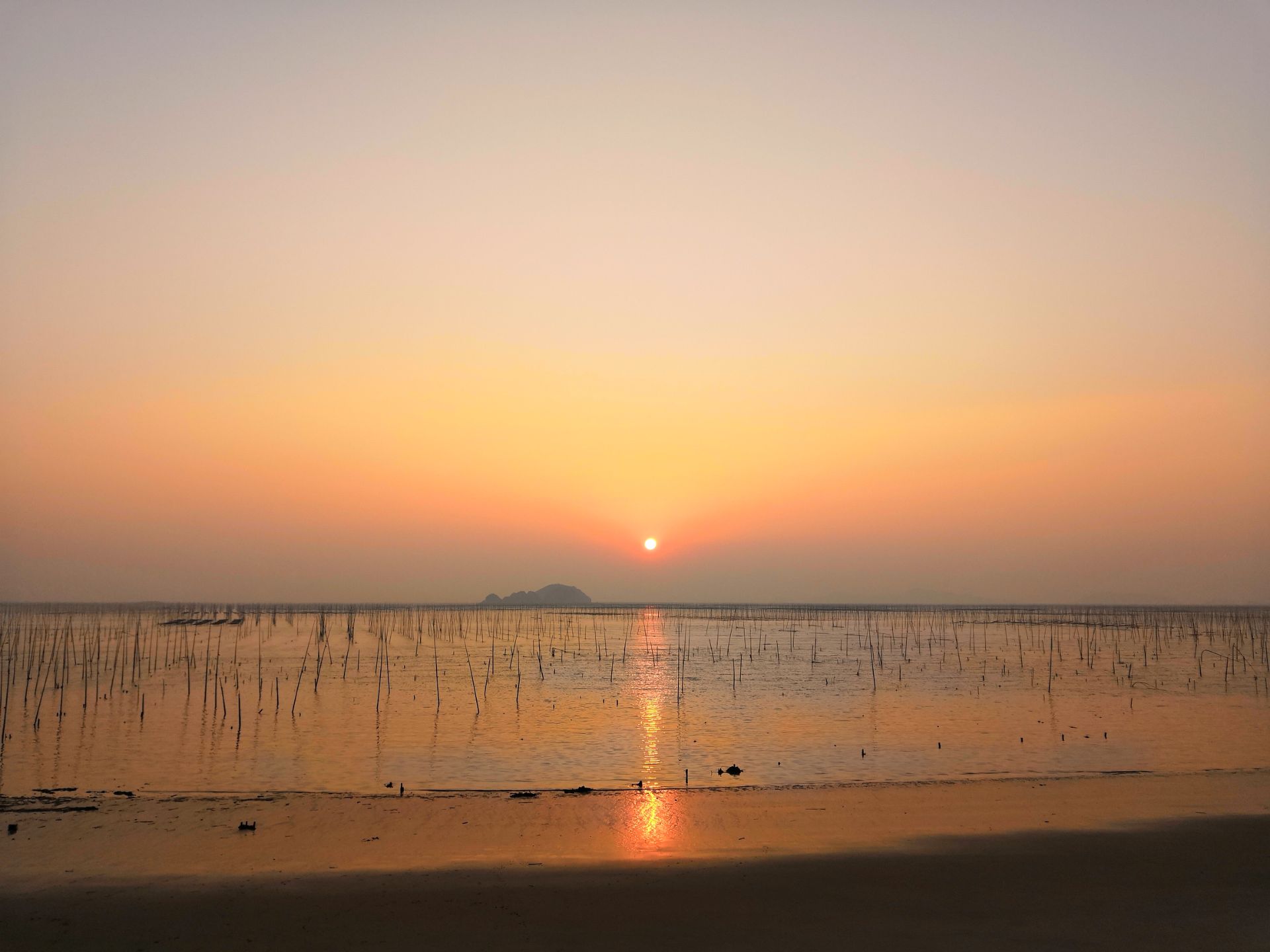 福建省 宁德市 北岐滩涂 日落美景