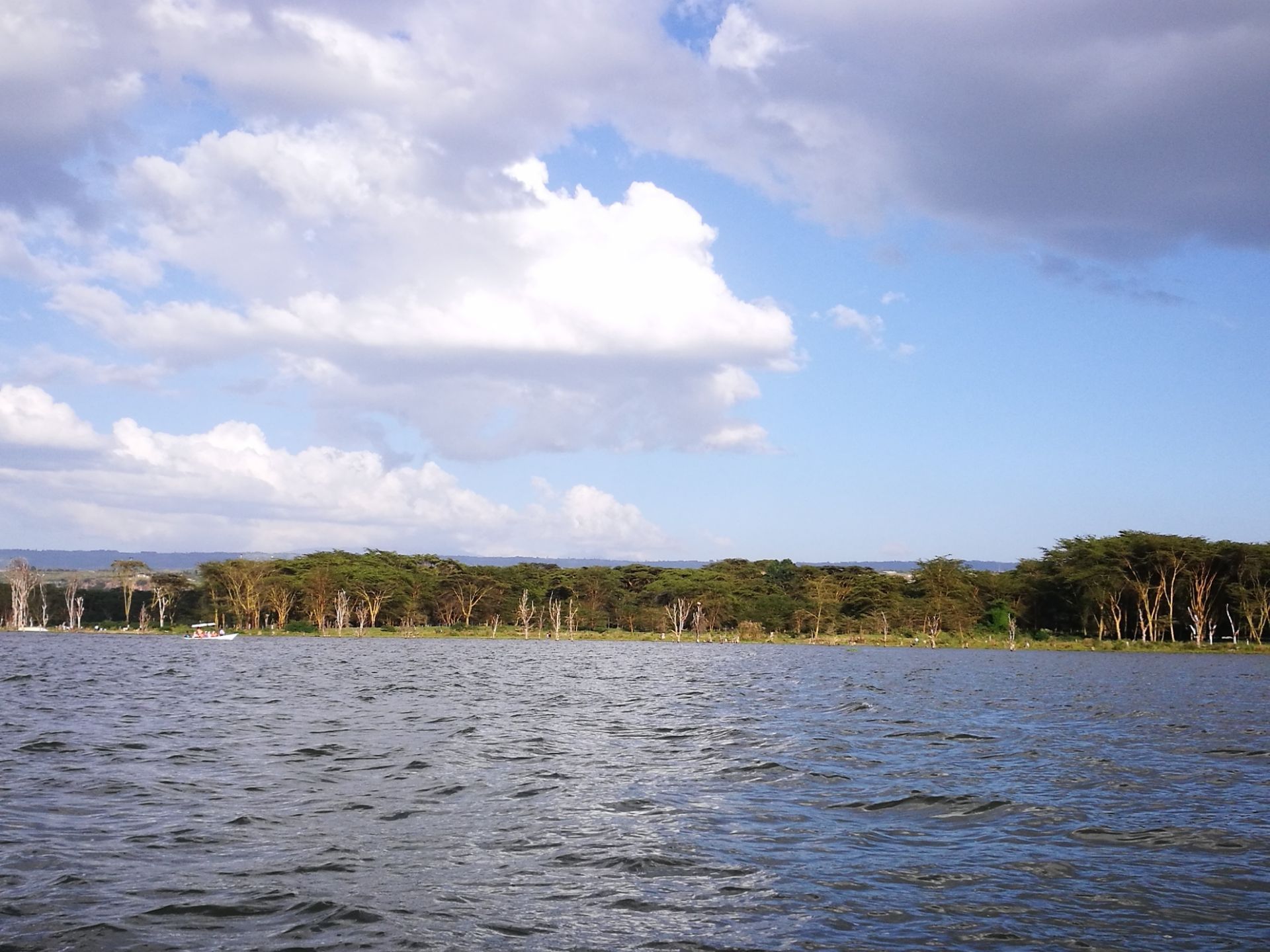 游览非洲肯尼亚奈瓦沙湖