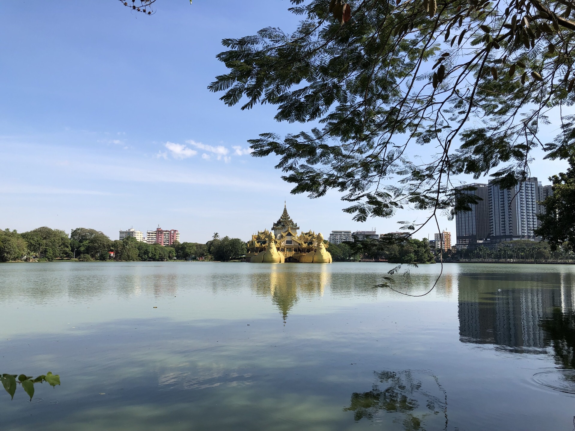 东南亚 缅甸 仰光 皇家湖