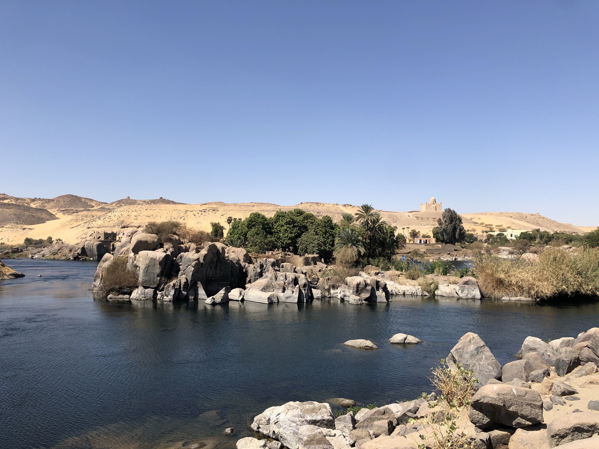 非洲 埃及 阿斯旺 大象岛