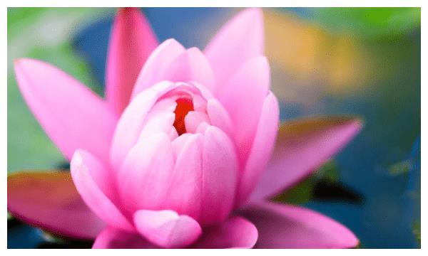 12月8日9日10日连续3天开门幸运 右左源 日子春风得意三大属相 属相 财运 三天 新浪新闻 12月8日9日10日连续3天开门幸运 右左源 日子春风得意三大属相 属相 财运 三天 新浪新闻