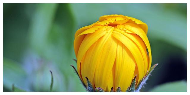 7月12日 18日爱情运势 荣获挚爱 深情守护的四大星座 运势 星座 伴侣 新浪新闻