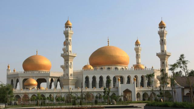 中国gdp烟占多少_中国互联网经济占GDP比重达7%