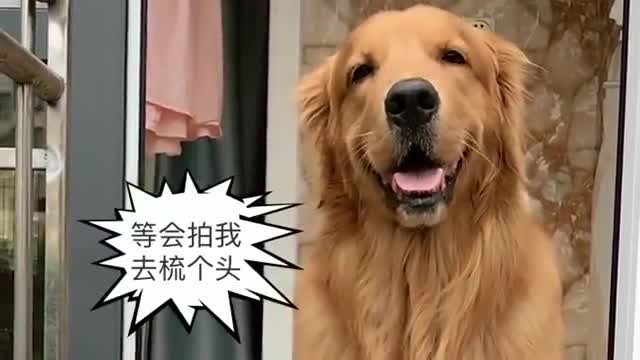 妈妈不说话小六对着手机傻笑呆萌眼神真招人喜欢