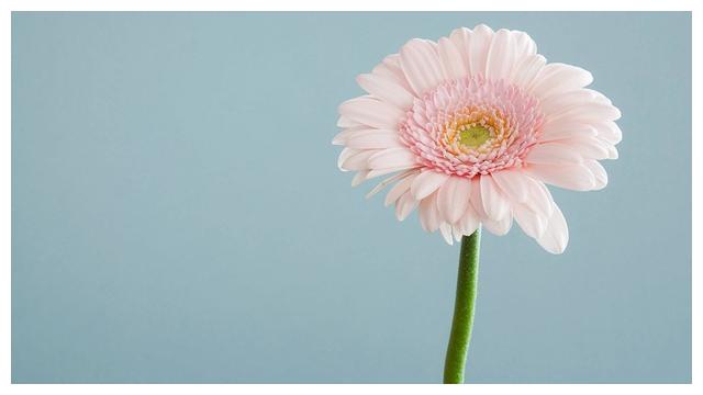 8月10日到8月17日 四大星座可致吉祥 笑口常开 财富 水瓶座 巨蟹座 新浪新闻 8月10日到8月17日 四大星座可致吉祥 笑口常开 财富 水瓶座 巨蟹座 新浪新闻
