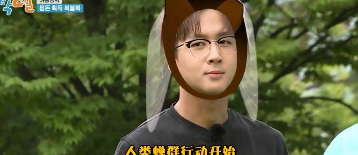 综艺金元植ace担当超帅气