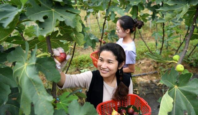 网上差评最多的水果?竟然是它?你有被它“坑过”吗?休闲区蓝鸢梦想 - Www.slyday.coM 网上差评最多的水果?竟然是它?你有被它“坑过”吗?休闲区蓝鸢梦想 - Www.slyday.coM