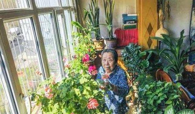 5种室内盆栽 给一点点光照就开花 花期长养护简单啊