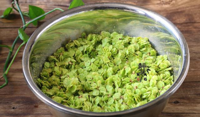 教你做火遍农村的蒸榆钱,香软适口比肉香,村里人都吃嗨了|榆钱|玉米面