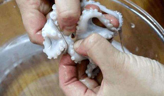 八爪鱼这种做法简直好吃到爆小孩子一顿一盘子不够吃