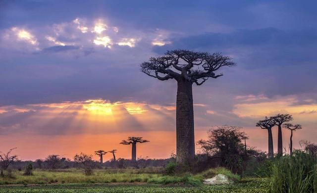 西亚国家人均GDP排名_亚洲GDP最高的10个国家,西太平洋5个,西亚3个,东南亚3个