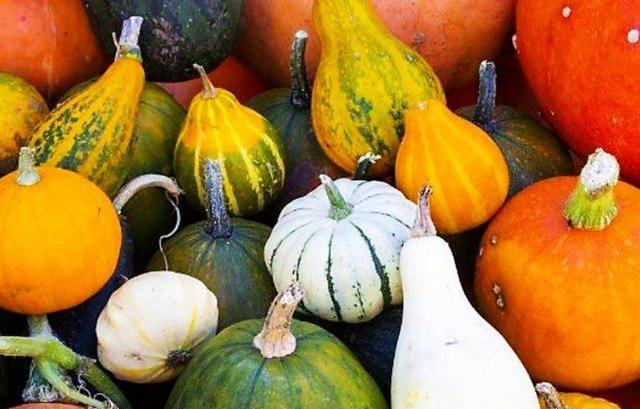 熬南瓜粥放淀粉会变稀吗 保温桶装粥为何变稀