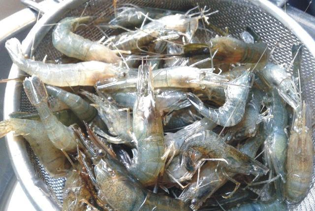 吃虾时，虾线要不要去掉？大厨说出了答案，不要再搞错了休闲区蓝鸢梦想 - Www.slyday.coM