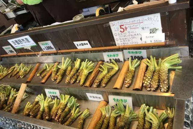 以前只知道“芥末”现在才知道“芥末”原来是这种植物做出来的！休闲区蓝鸢梦想 - Www.slyday.coM