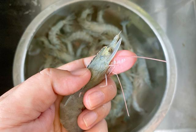 零失败自制美味补钙小零食烤虾干又香又酥又好吃虾壳都不剩