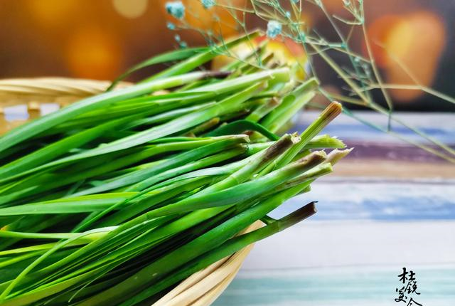 买韭菜,选细叶的还是宽叶的?2种差别大,买错难吃还浪费钱休闲区蓝鸢梦想 - Www.slyday.coM 买韭菜,选细叶的还是宽叶的?2种差别大,买错难吃还浪费钱休闲区蓝鸢梦想 - Www.slyday.coM