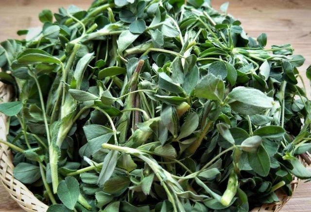 农村路边的野菜，我们不吃，出口<a href=