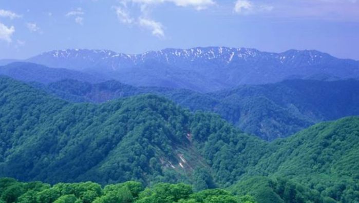 白神山地 横跨青森县和秋田县 世界的自然遗产