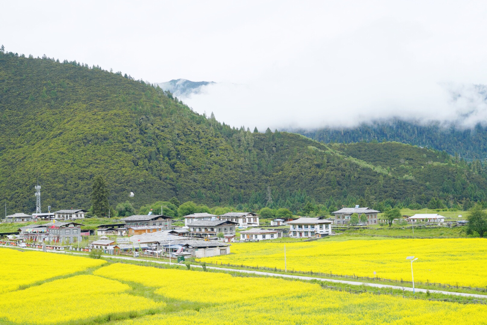 西藏自治区林芝市鲁朗花海牧场