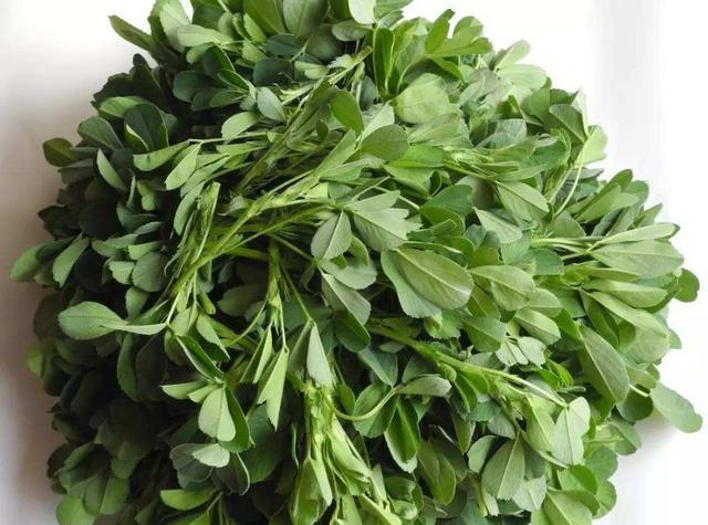 农村路边的野菜，我们不吃，出口<a href=