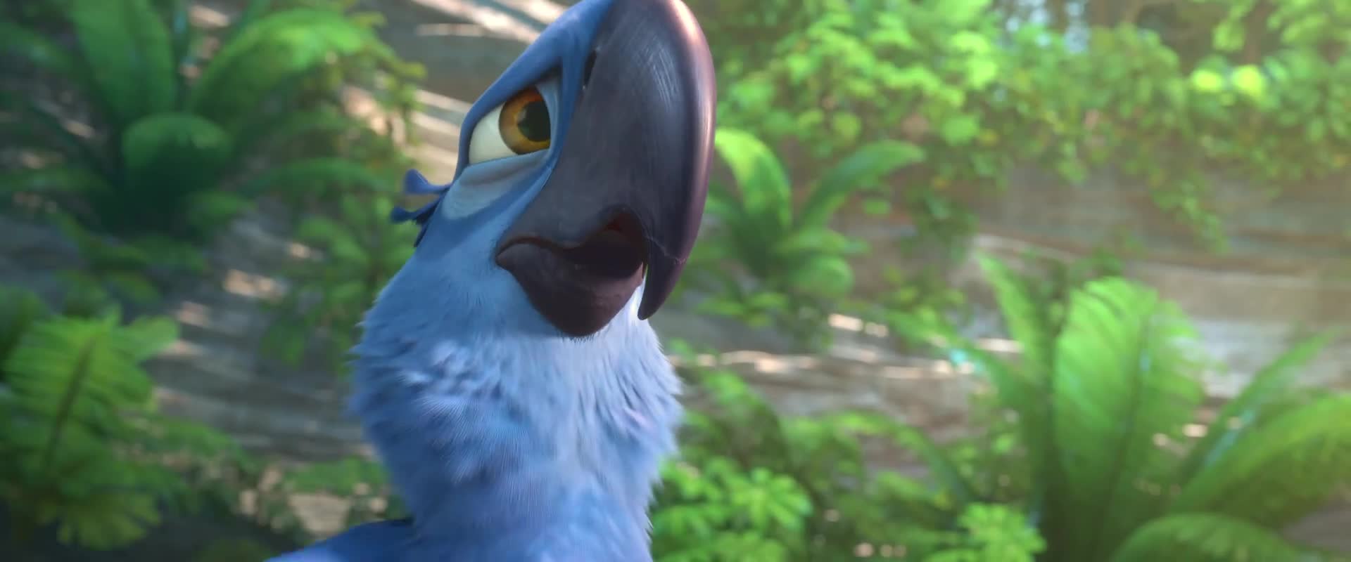 里约大冒险:布鲁让岳父丢尽了脸,对它十分失望,认定他是个宠物