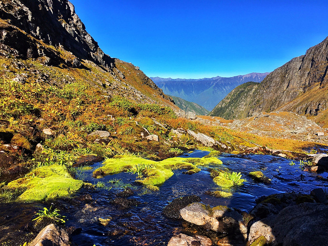 西藏自治区 林芝市 多雄拉山_高清图集_新浪网