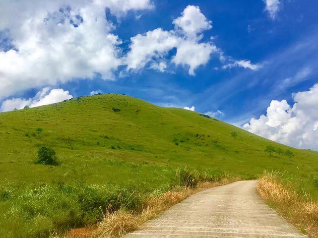 福建省 宁德市 古田县 白溪草场