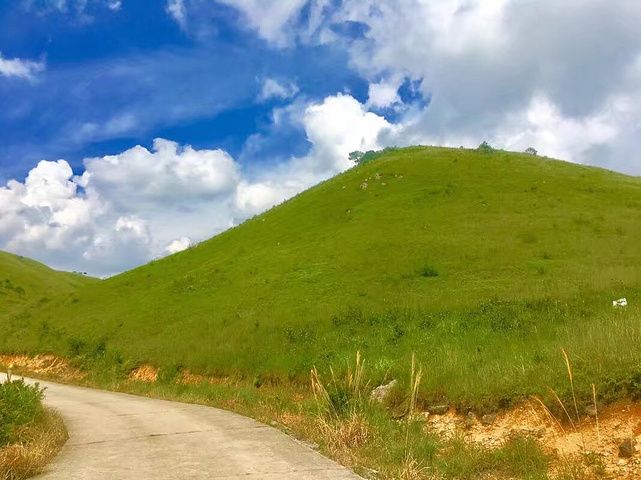 福建省 宁德市 古田县 白溪草场