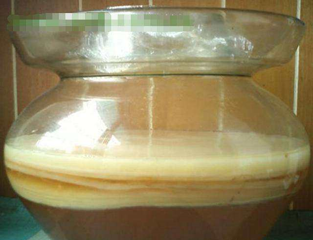 蛾子|纤维素|醋酸菌_新浪新闻