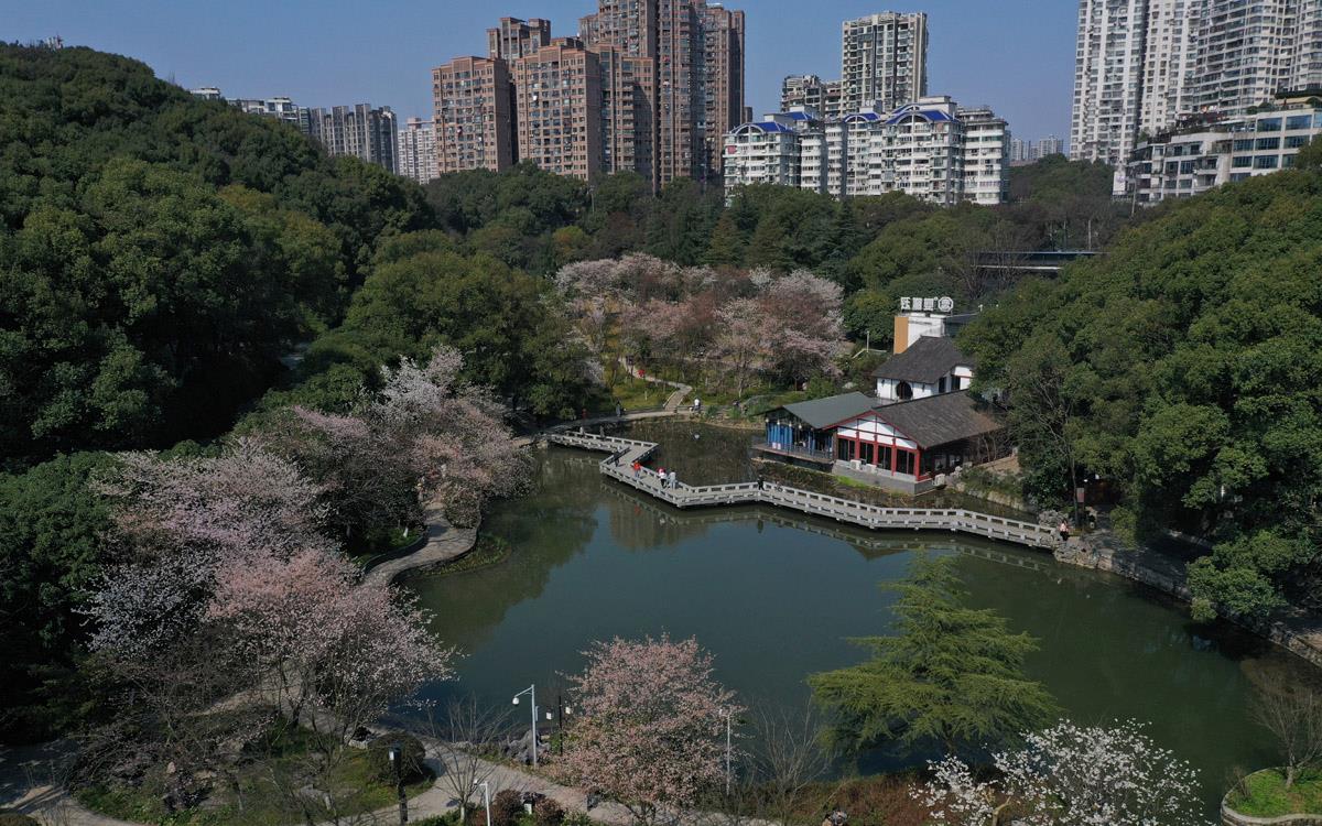 时已过立春,万物复苏,2月18日,长沙王陵公园不知不觉已是满园春色,红