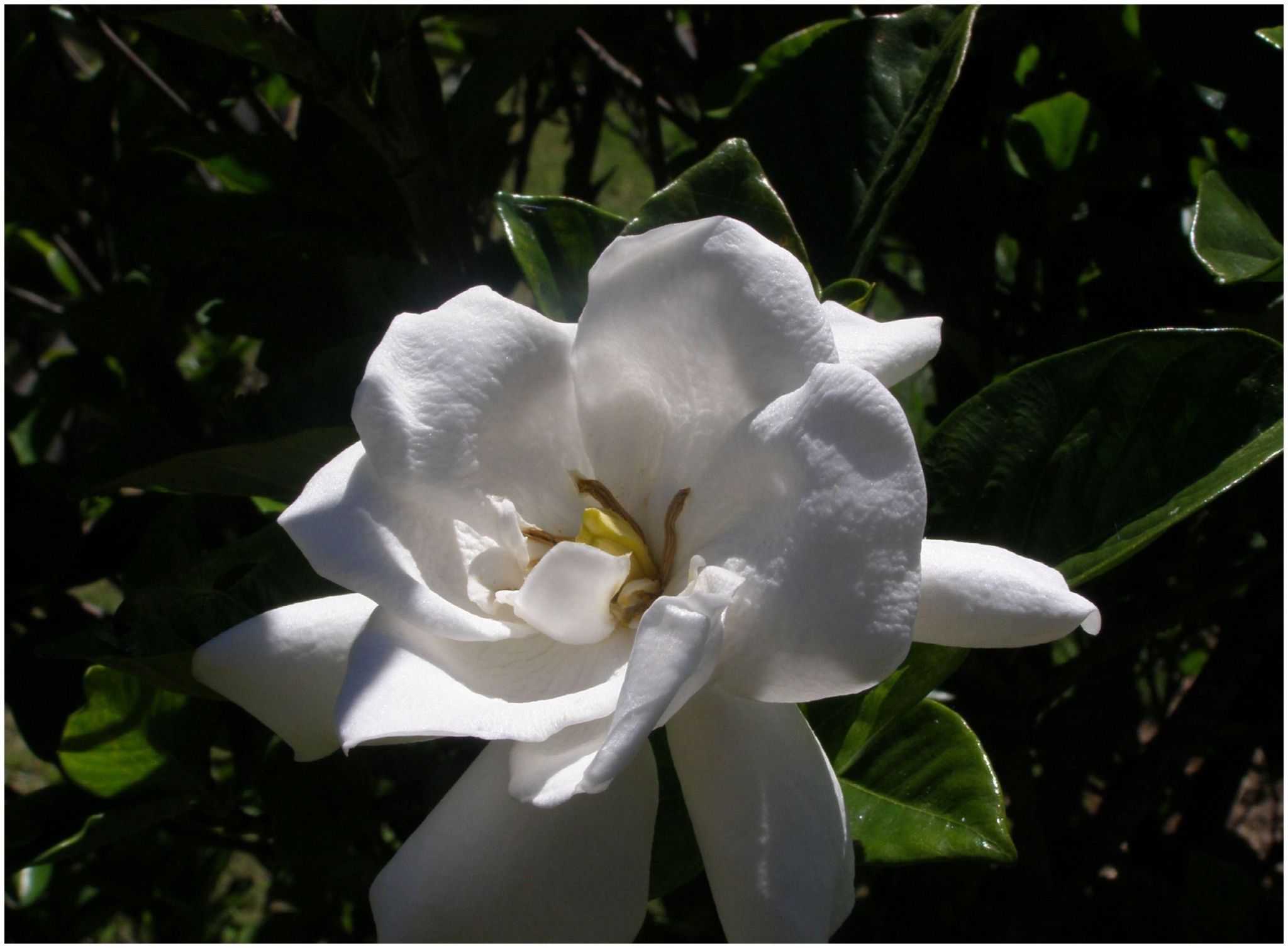 7月日 31日星座运势 锲而不舍 扬帆起航的四大星座