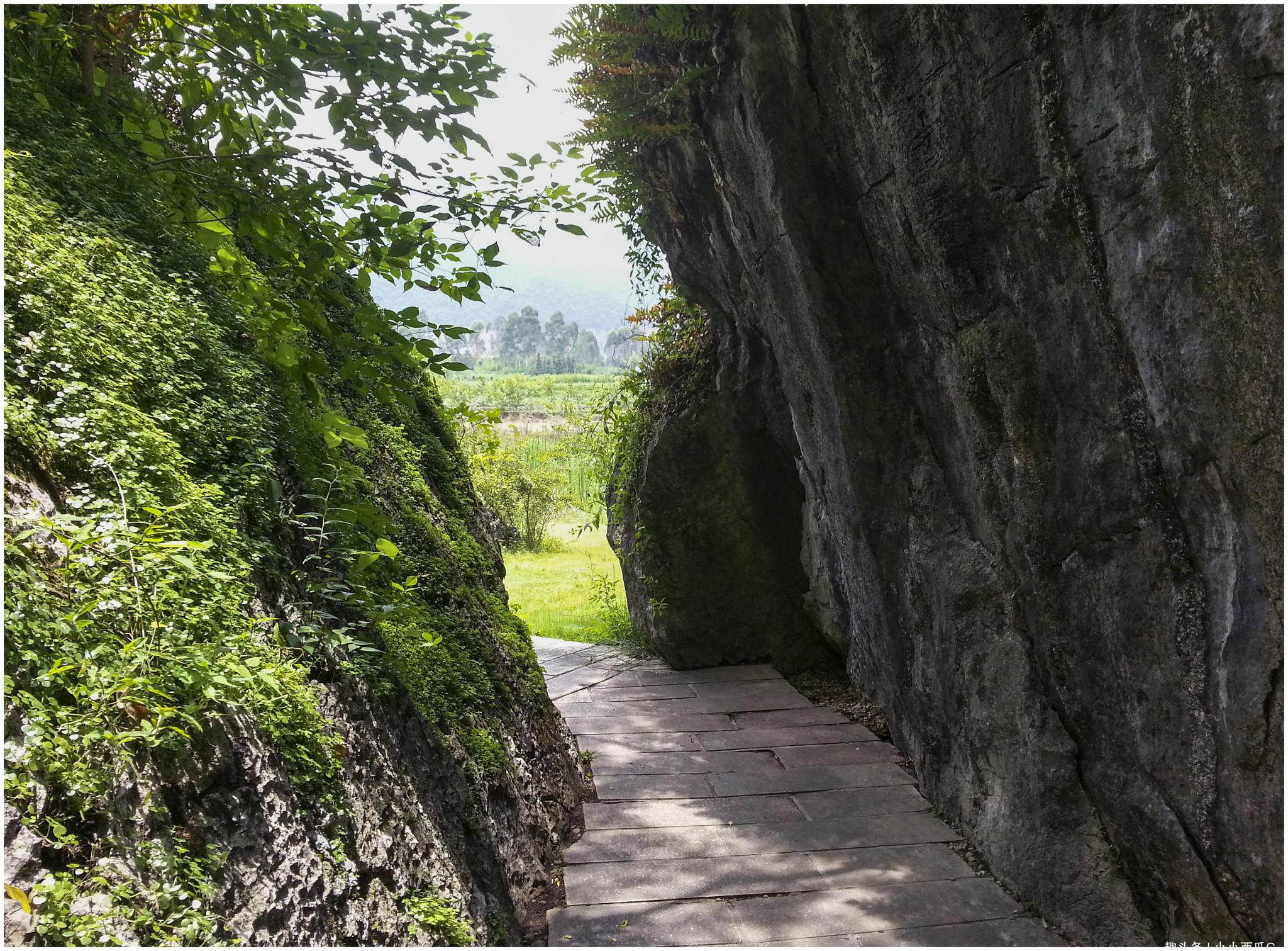 华东独有的一处石林景观,就藏福建三明,规模仅次于云南麓南石林