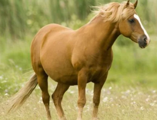 2月下旬一辈子最大的贵人将会主动来找你,大富大贵无忧!