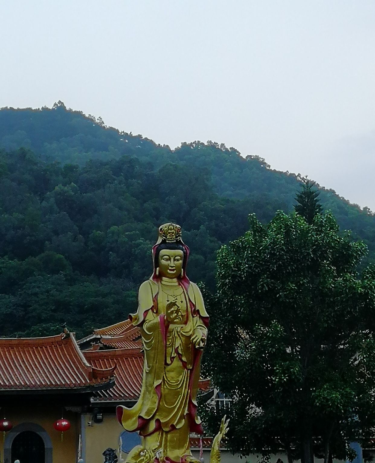 广东省汕头市莲花山一日游