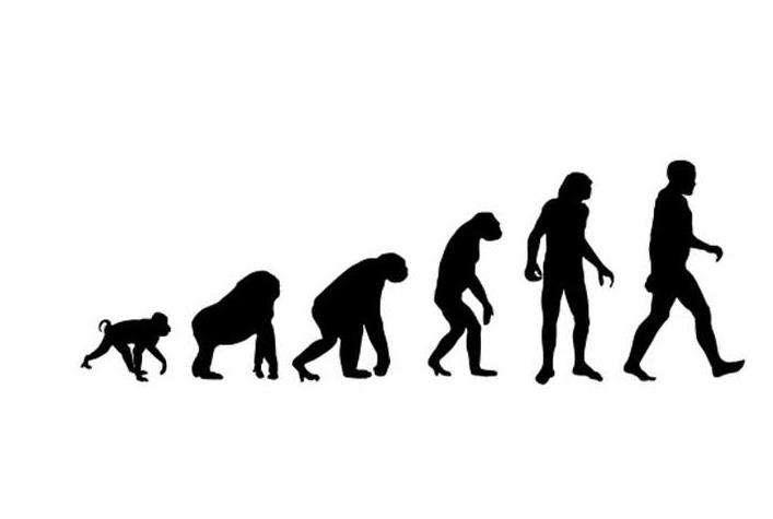 生物进化论 未解之谜图片