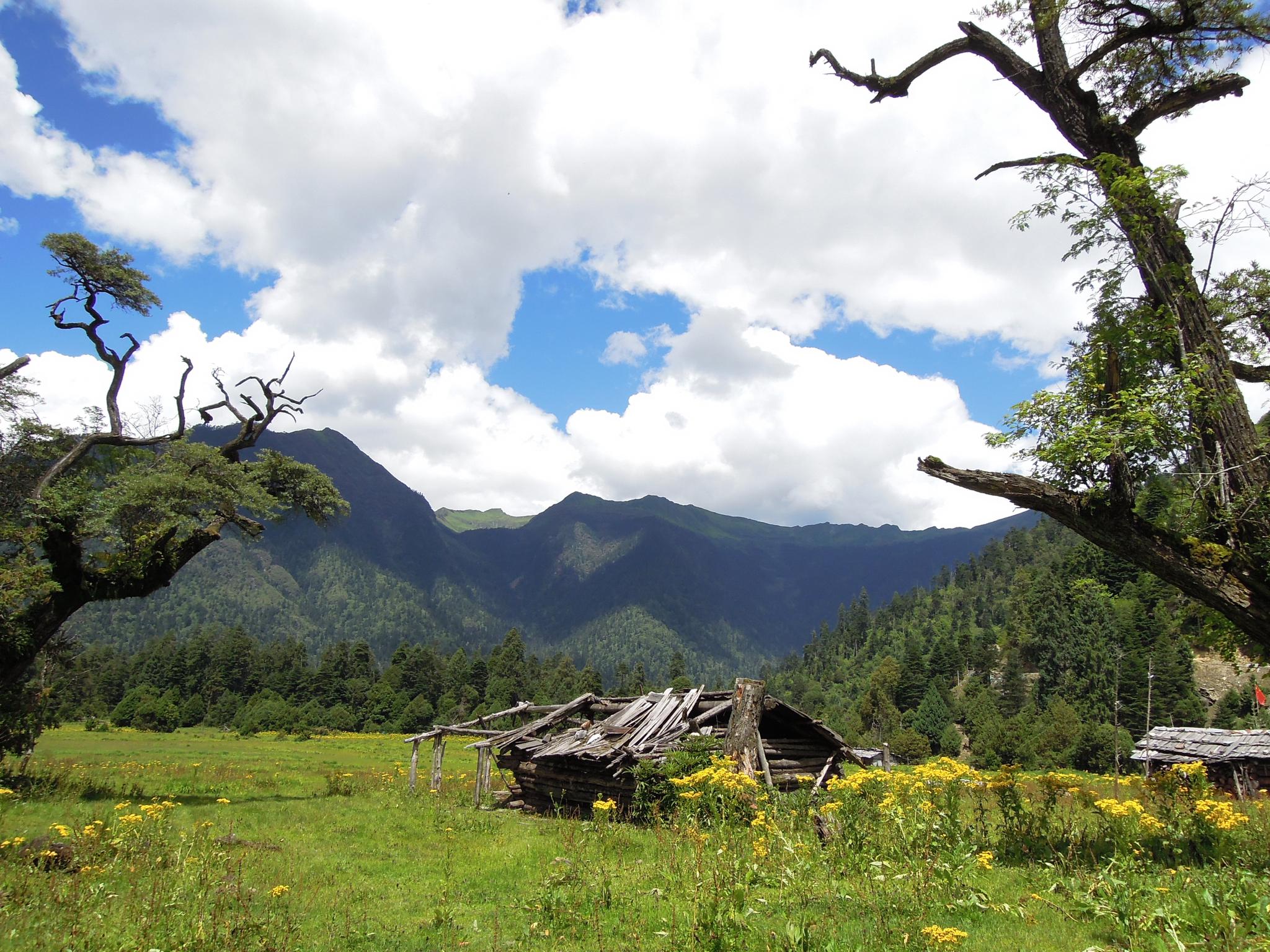 西藏自治区林芝市南伊沟
