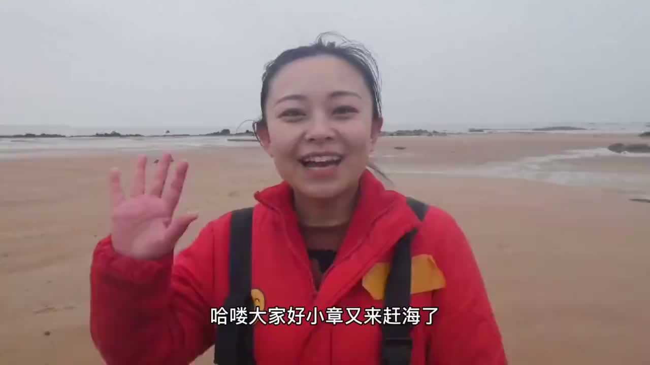 小章赶海冬天的八爪鱼都在沙滩上挪窝,边走边捡都要捡不完了!