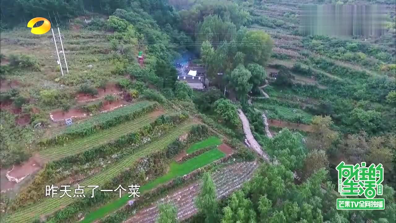 何炅问海清点的菜名前所未闻 大华 你发音不好啊 海清当场道歉