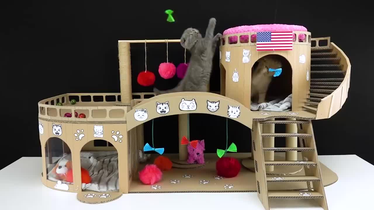 铲屎官为自家猫咪用纸板做了个城堡太漂亮了