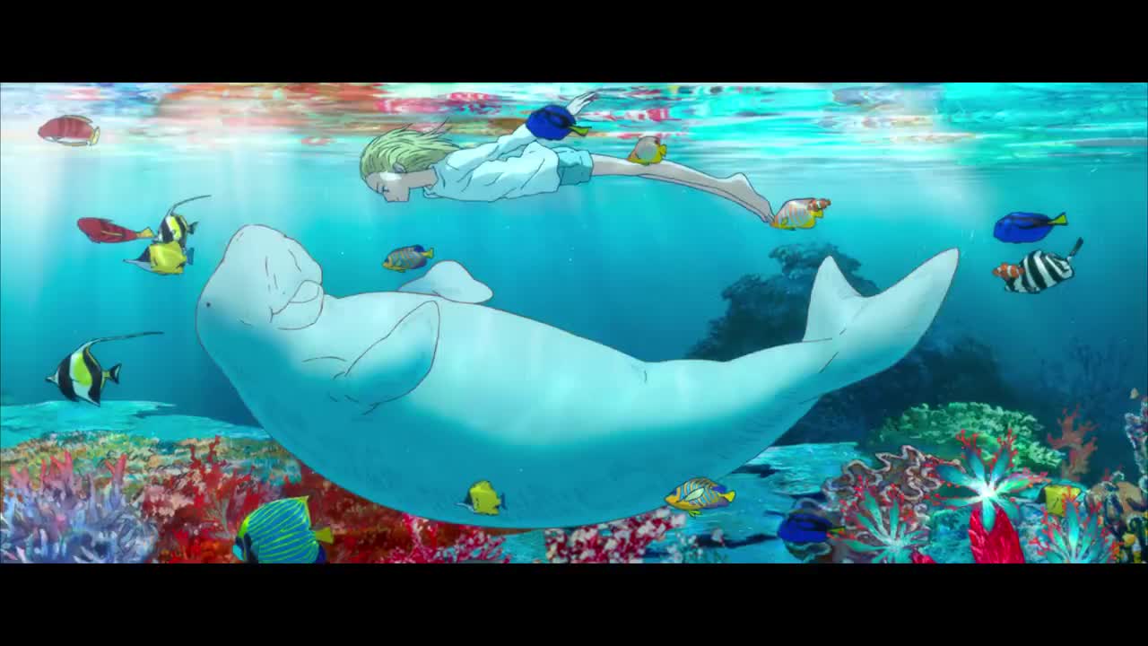 海兽之子琉花看着阿空和儒艮玩耍很是惊讶