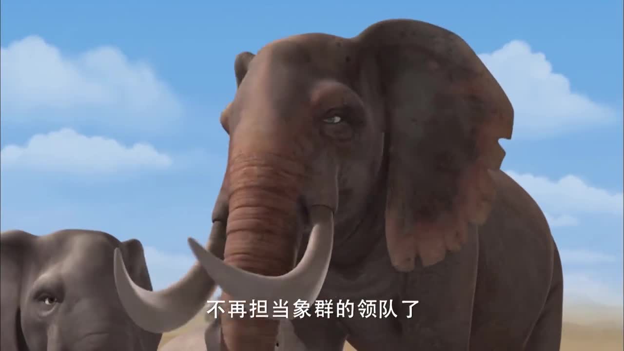 阿贡阿贡真是可爱在这么多大象面前多危险啊